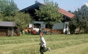 Ferienwohnungen Hötzelsperger